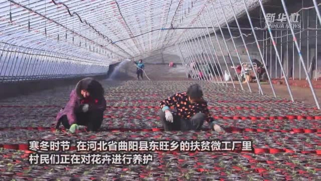 河北曲阳:扶贫微工厂助农增收