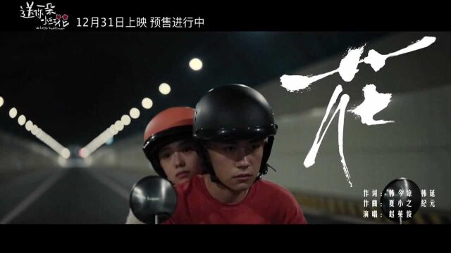 赵英俊《花》 (《送你一朵小红花》电影推广曲)