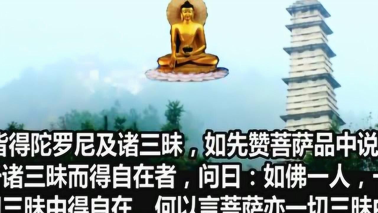 大智度论聆志居士读诵10