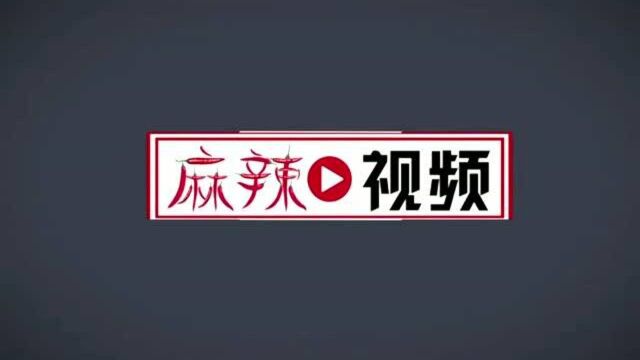 “价值股”吉利汽车牛,153万销量目标带动股价暴涨,股民赚欢了!