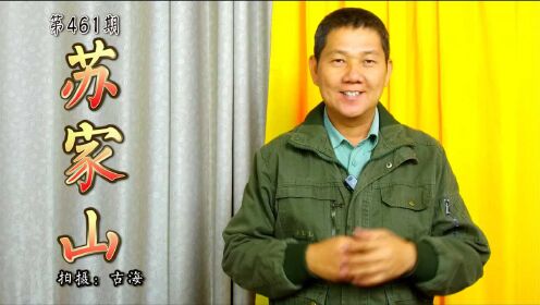 走乡下古海带你去看开金取水广西北流苏家山