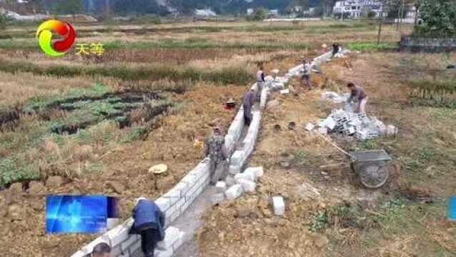 天等县全力推进高标准农田建设