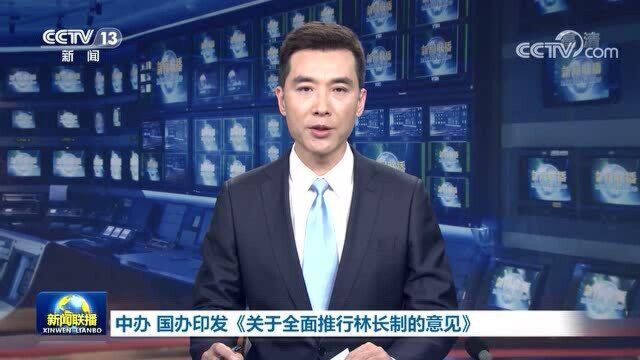 中办 国办印发《关于全面推行林长制的意见》