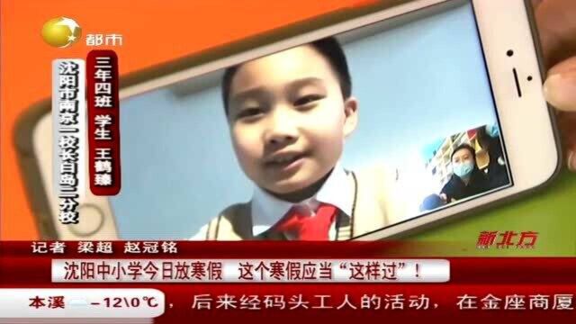 沈阳中小学1月11日放寒假,这个寒假应当“这样过”