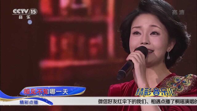 歌曲《再见我的爱人》 演唱:桐瑶