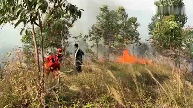 深汕特别合作区鹅埠镇发生山火,大鹏森林消防疾驰94公里首个抵达火场增援