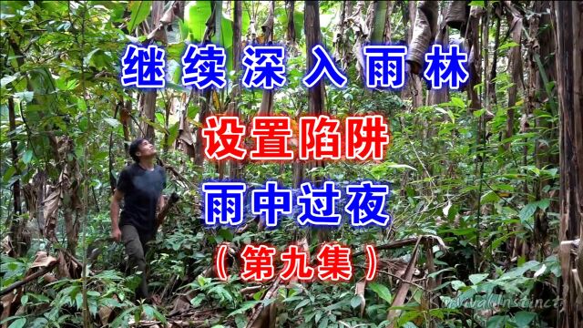 第九集|抛弃山洞,继续深入雨林,终于发现一处“天堂”