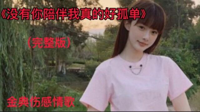 伤感歌曲《没有你陪伴我真的好孤单》