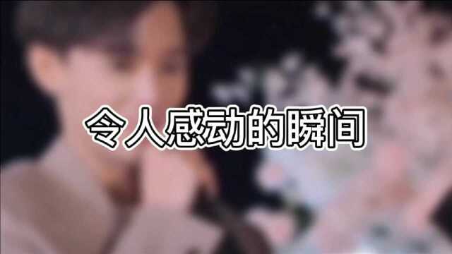 令人感动的瞬间,看完已是泪流满面