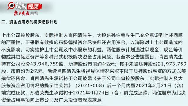 天泽信息实控人占用公司资金,股票可能被实施其他风险警示,股价下跌4.45%