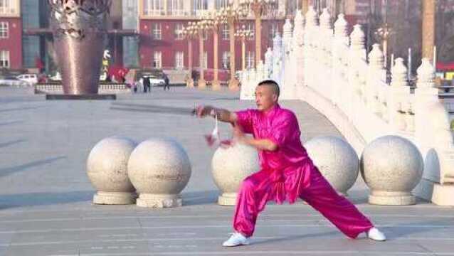 菏泽牡丹区:梅花拳