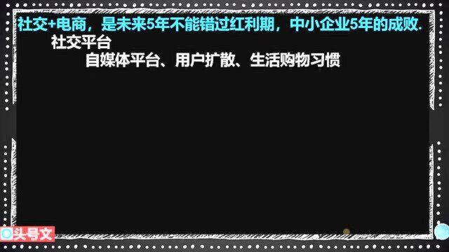 231、社交+电商,是未来5年不能错过红利期,中小企业5年的成败