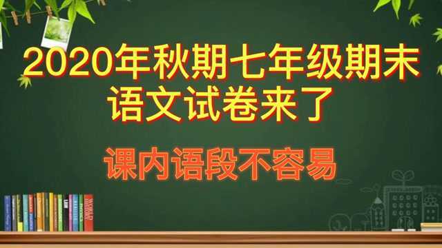 2020年秋期七年级期末语文试卷来了,课内语段段不容易