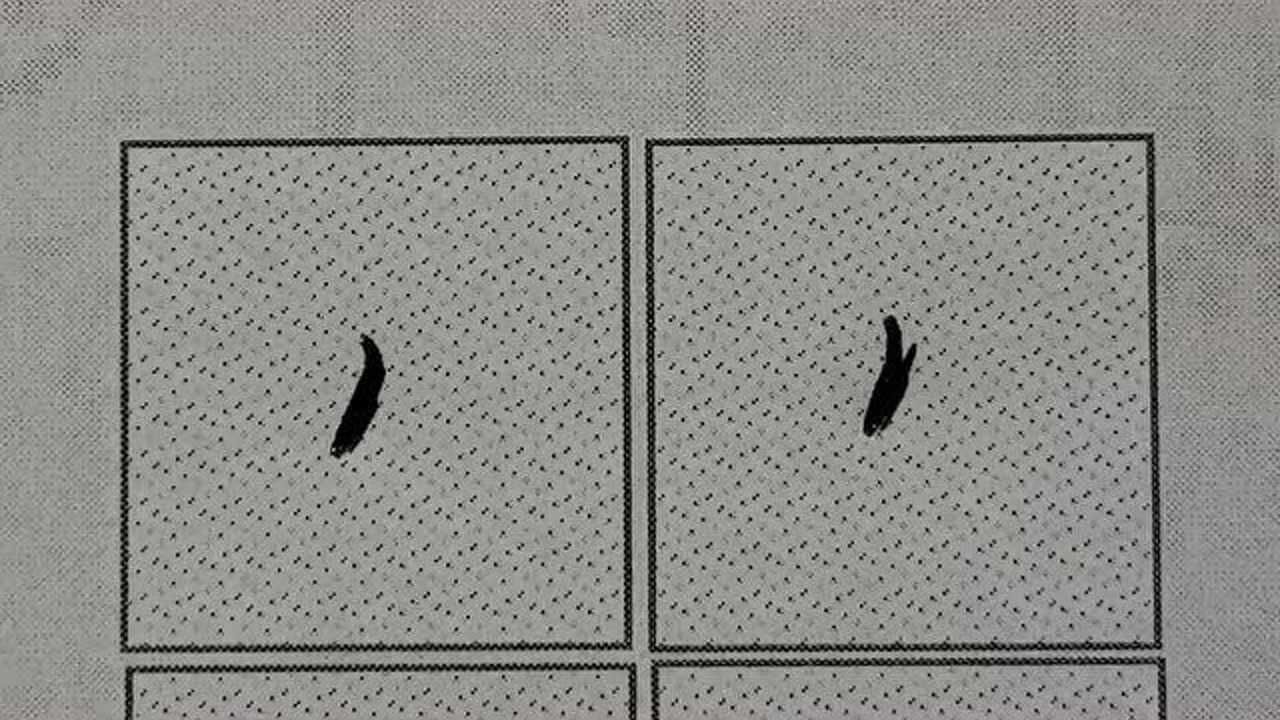 行楷基本笔法"右点"正确书写与应用:例字,小,集,洪,东,轻松学习书法