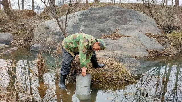 老农制作汽车滤网抓虾神器,滤网放野坑里一个月,起滤网爆窝