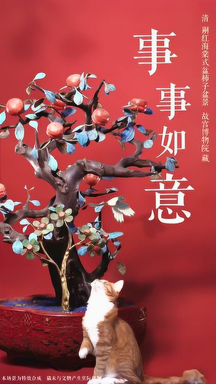 "柿柿"如意红