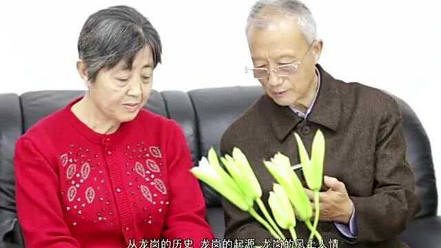 视频|龙岗第一课:基层社会治理的“龙岗名片”