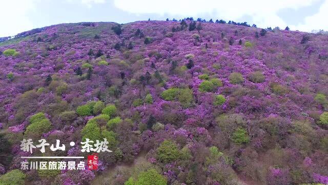 东川区旅游景点之轿子山ⷤ𘜥က