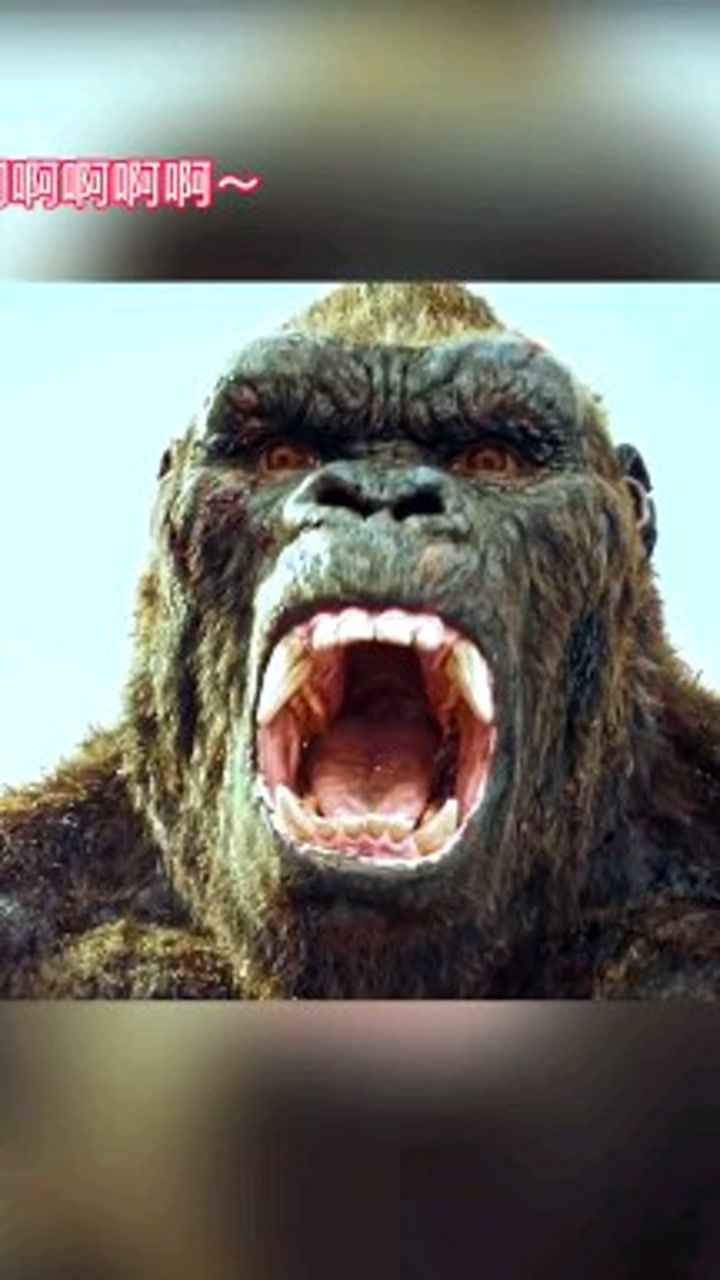 恬不二这才是真正的金刚咆哮