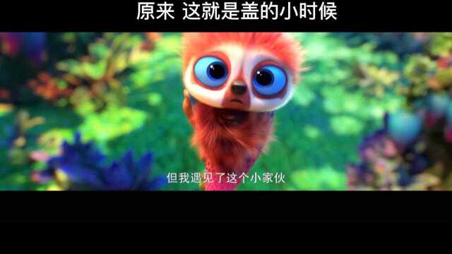 原来盖这么勇敢