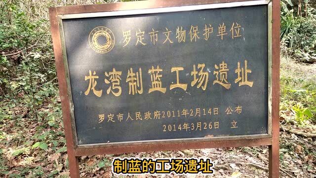 罗定龙湾生态旅游虽然荒废,但里面还隐藏一个瑶民制蓝工场遗址