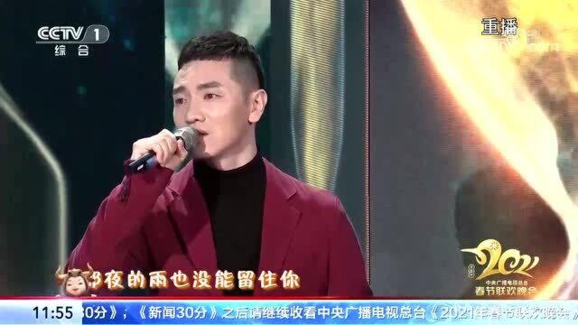 央视春晚歌曲精选:《可可托海的牧羊人》(2021)王琪演唱