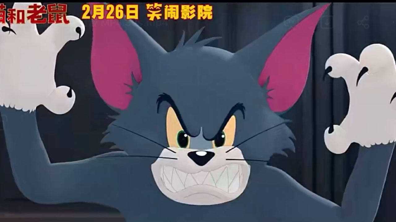 还记得小时候的汤姆猫吗?