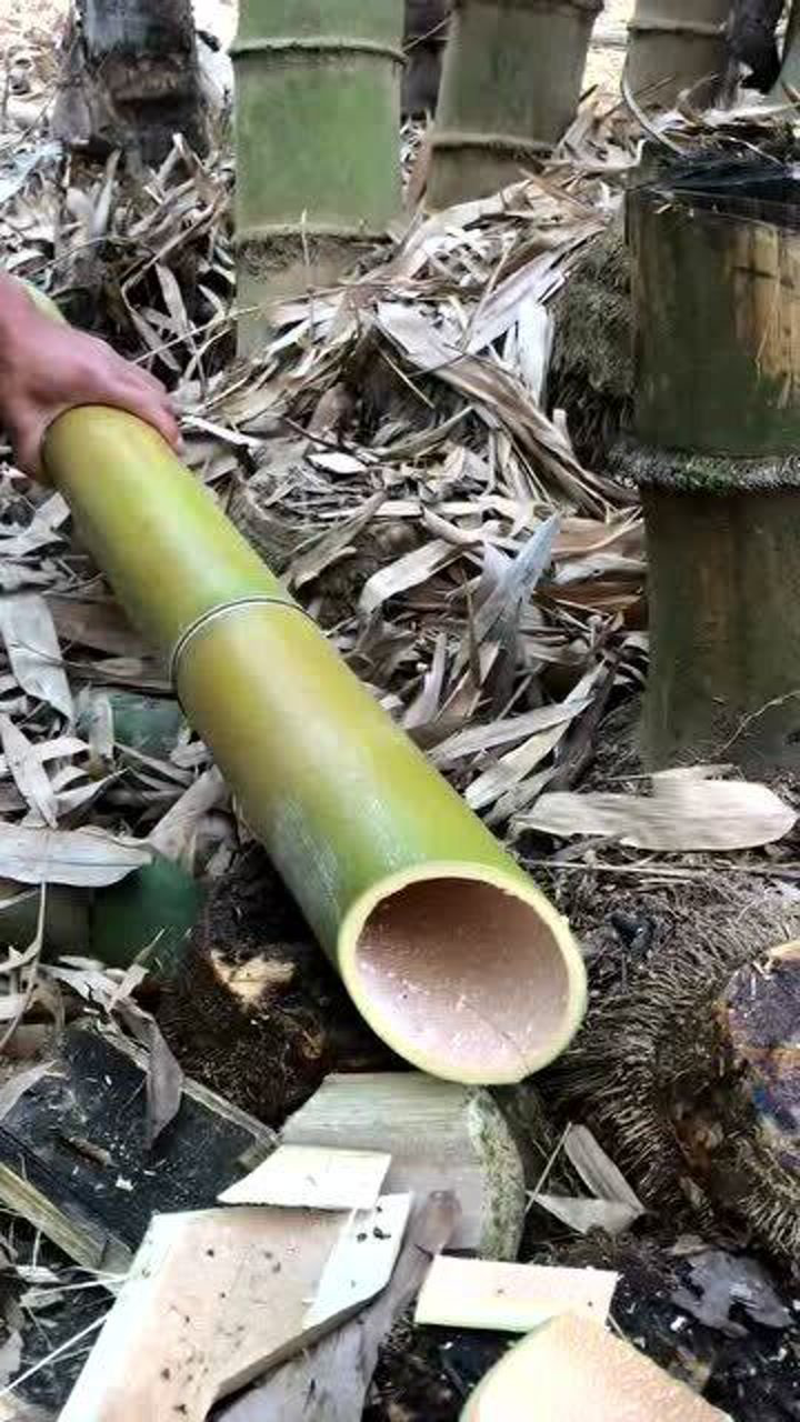 用菜刀砍竹子，确实不一样，果然是好刀！_高清1080P在线观看平台_腾讯视频