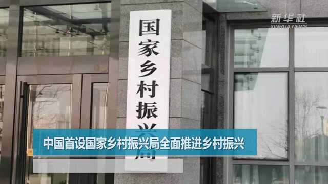 中国首设国家乡村振兴局全面推进乡村振兴