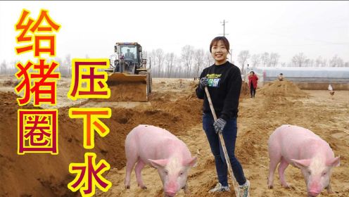 晓儿家400元雇一个挖沟机，挖开一条近2米的地道，给猪圈压下水