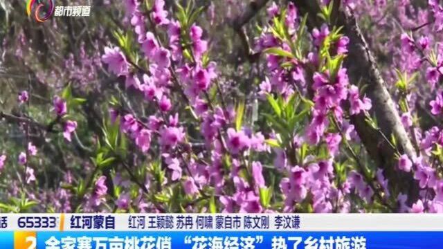 余家寨万亩桃花俏 “花海经济”热了乡村旅游