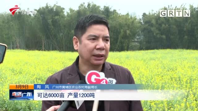 广州:“无人农场”入驻黄埔 智慧农业助春耕