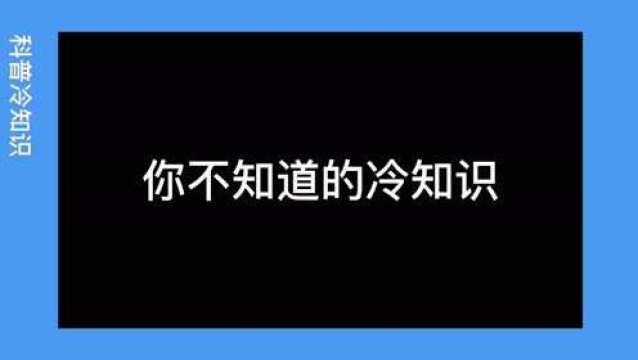 你知道辣椒怎么来的吗