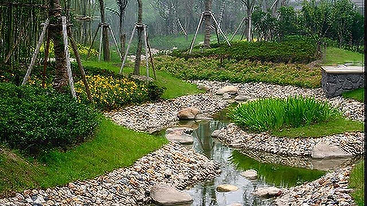 【地理】雨水花园_腾讯视频