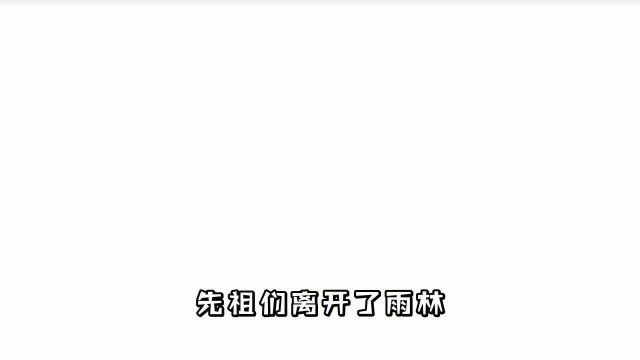 光遇:霞谷的剧情解析,先祖的科技巅峰也是内斗巅峰