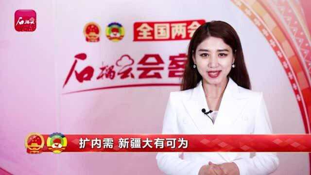 石榴云会客厅丨扩大内需新疆大有可为