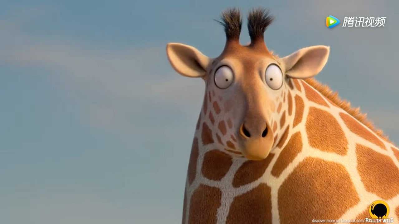 圆滚滚的动物世界里有哪些动物呢