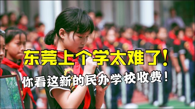 东莞上学好难?你看这新的民办学校收费,家长们直呼:打工族能读得起?