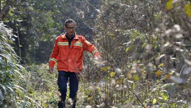 守山人陈武伦:33载坚守 绿了青山白了发