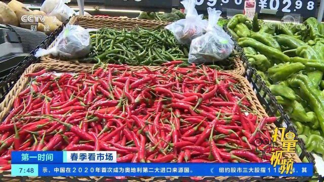 四川泸州:应季蔬菜产量大,批发价格下调幅度超过30%