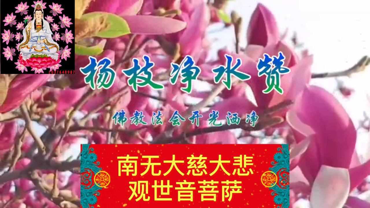 歌曲:杨枝净水赞_腾讯视频