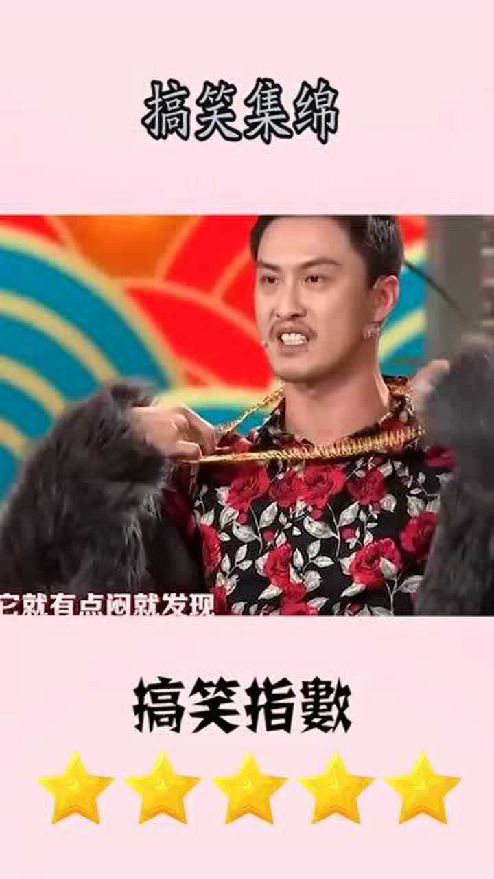许君聪你是不是虎