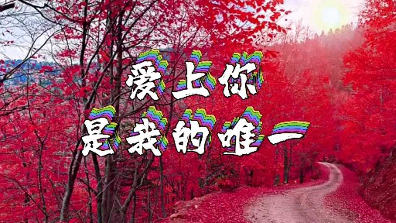 这首《爱上你是我的唯一》分享给您,快来欣赏吧