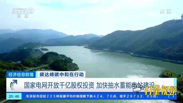 国家电网启动碳达峰碳中和行动方案