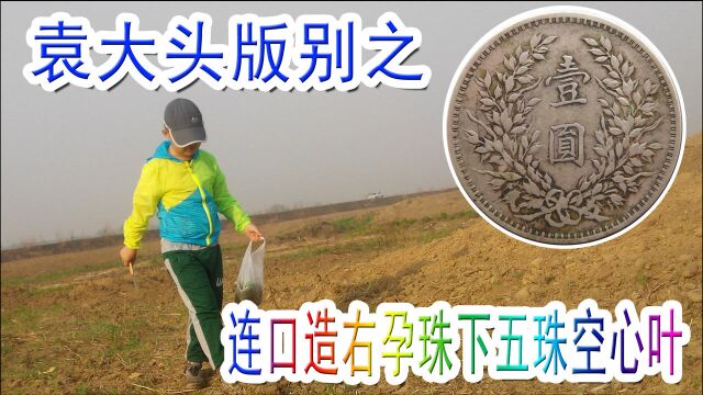 民国八年袁箱银币版别之连口造右孕珠下五珠空心叶,让新手一听就会