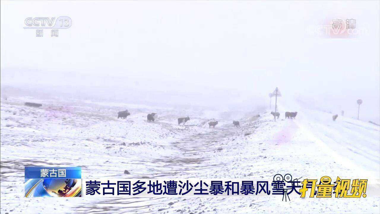 蒙古国多地遭沙尘暴和暴风雪天气侵袭约200头羊走失20头羊死亡