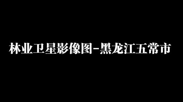 黑龙江省林业卫星遥感影像图@北京零图