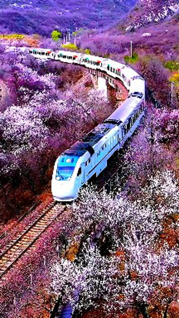 近看居庸关长城花海列车