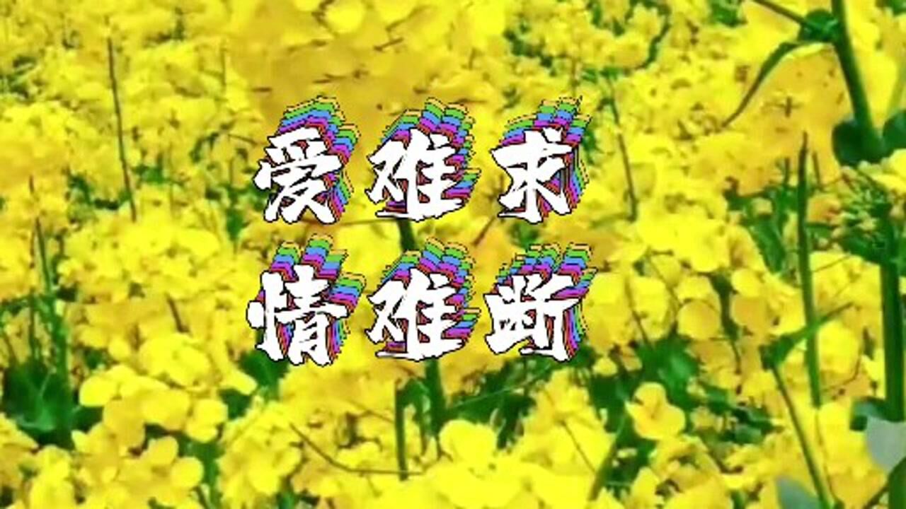 这首《爱难求情难断》分享给您,快来欣赏吧