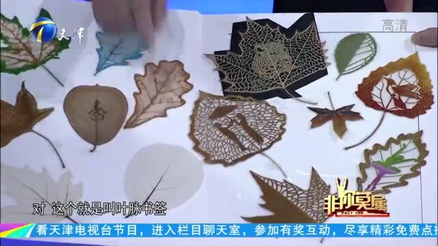 非你莫属:蛋雕达人做客现场,惊艳作品征服全场,众人争相竞价